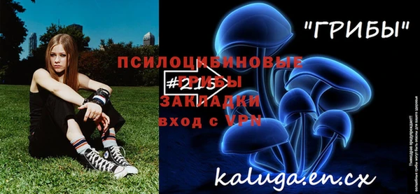 стафф Баксан