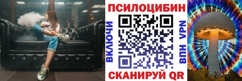 Галлюциногенные грибы Psilocybe Купить закладки Чадан
